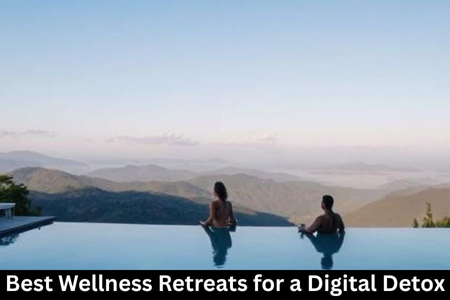 Best Wellness Retreats for a Digital Detox