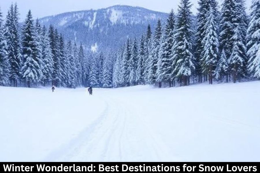 Winter Wonderland: Best Destinations for Snow Lovers.